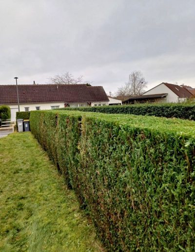 Les jardins d’Hellebores